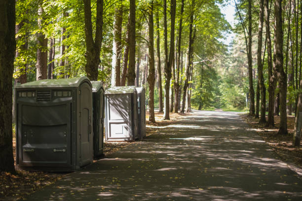 Best High-end porta potty rental  in Caro, MI
